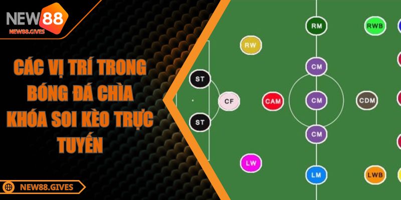Các Vị Trí Trong Bóng Đá Chìa Khóa Soi Kèo Trực Tuyến