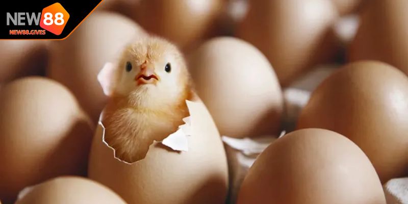 Phát hiện đồng thời xử lý sớm khi thấy kê bị bệnh