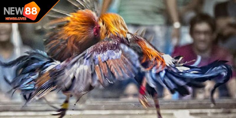 Thực hiện lựa chọn cổng mà khách hàng đặt niềm tin