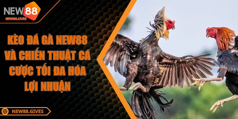 Kèo Đá Gà New88 Và Chiến Thuật Cá Cược Tối Đa Hóa Lợi Nhuận