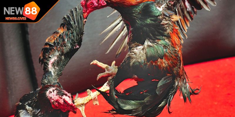 Thực hiện quản lý nguồn ngân sách và lựa chọn uy tín